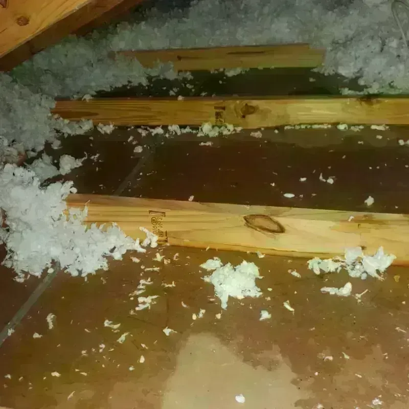 Attic Water Damage in Oxford, NJ